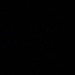 Meet your Posher, Ken